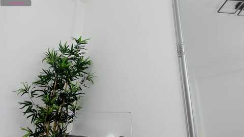 Media: eveliniris Myfreecams Invalid Date