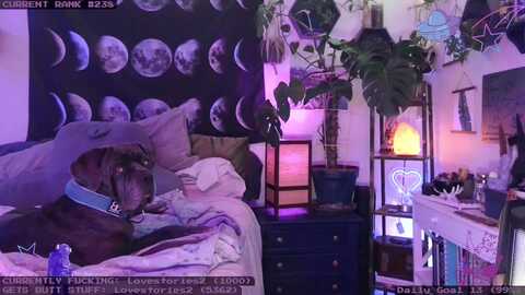 Media: lunarlexxx Myfreecams Invalid Date