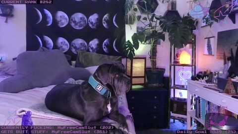 Media: lunarlexxx Myfreecams Invalid Date