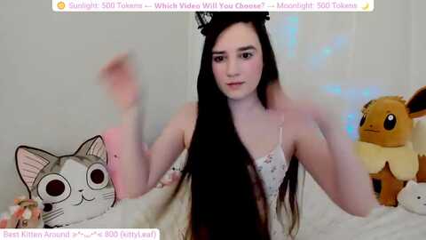 Media: kitty Myfreecams Invalid Date