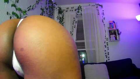bunnybelair @ myfreecams on 20240311