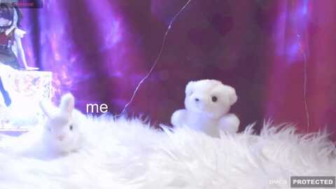 Media: meows Myfreecams Invalid Date