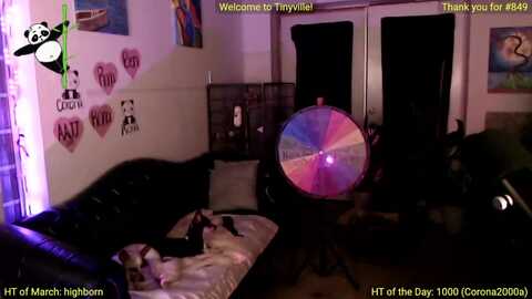 atinycassie @ myfreecams on 20240317