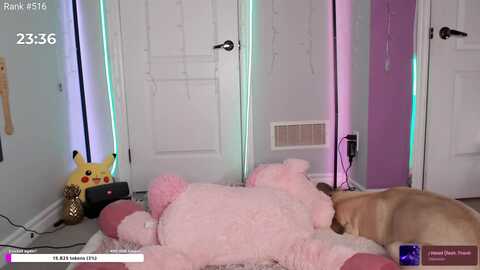 Media: haileecameron Myfreecams Invalid Date