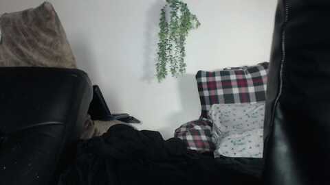 Media: voluptuousddd Myfreecams Invalid Date