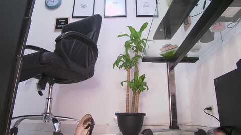 Media: alissagodess Myfreecams Invalid Date