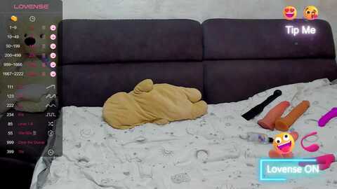 Media: amykentt Myfreecams Invalid Date