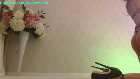 Media: awesomeely Myfreecams Invalid Date