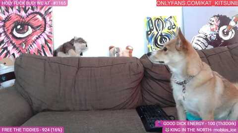 Media: kat_kitsune Myfreecams Invalid Date
