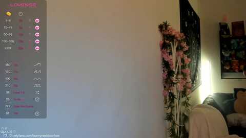 Media: bunnynextdoor Myfreecams Invalid Date