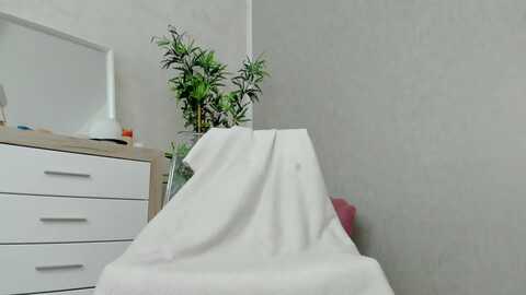 Media: temptingtease Myfreecams Invalid Date