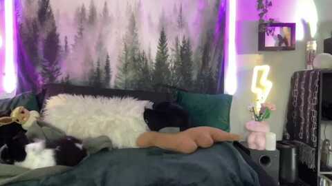 Media: rileywoods Myfreecams Invalid Date
