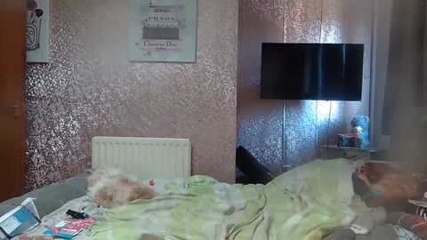 Media: yummymummy39 Myfreecams Invalid Date