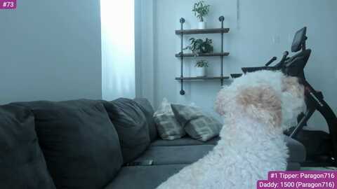 Media: rorriegomez Myfreecams Invalid Date