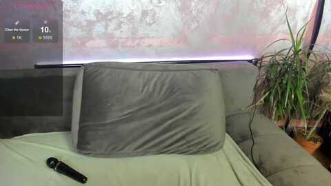 rebecairis @ myfreecams on 20240513