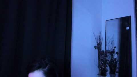 Media: midnightrose Myfreecams Invalid Date