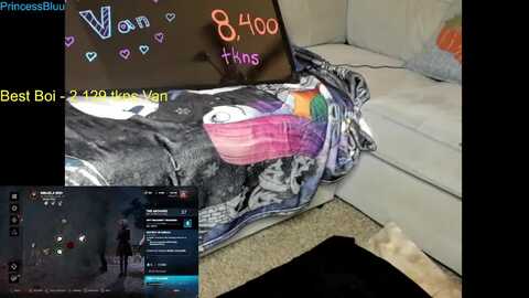 Media: princessbluu Myfreecams Invalid Date