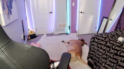 Media: haileecameron Myfreecams Invalid Date