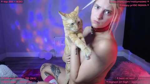 mollymeowz @ myfreecams on 20240602