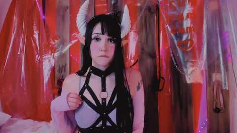 kipahimari @ myfreecams on 20240604