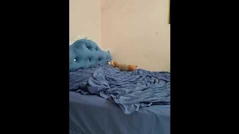 coco_hot2k @ stripchat on 20230828