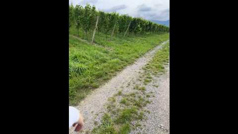 Media: luisabecker Stripchat 2023-08-29 10:24:00