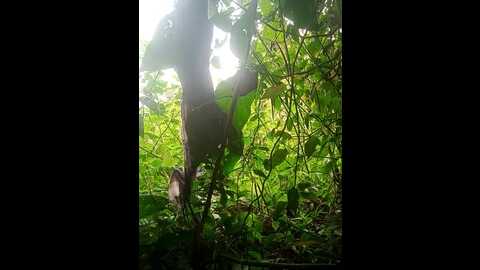 rediant_two256 @ stripchat on 20230829