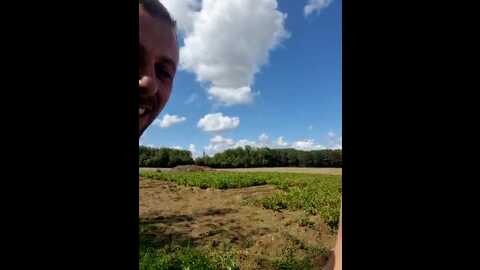 Media: lilietseb02 Stripchat 2023-08-30 11:16:00