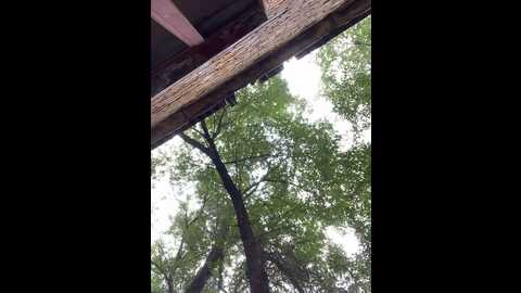 Media: alisadave Stripchat 2023-08-31 06:27:00