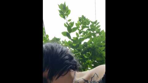 Media: alisadave Stripchat 2023-08-31 08:34:00