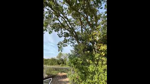 cute_alice @ stripchat on 20230903