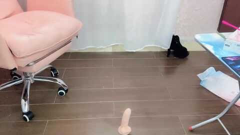 Media: linglong521 Stripchat 2023-09-03 02:24:00