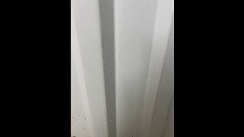 crazzychicks @ stripchat on 20230906