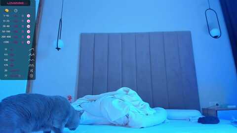 cutiesuee @ stripchat on 20230906