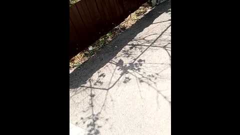 mom___dad @ stripchat on 20230906