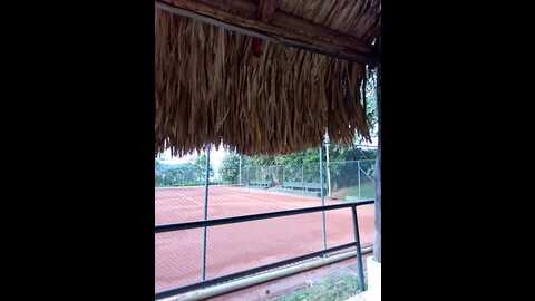 Media: alyshanon18 Stripchat 2023-09-10 23:01:00