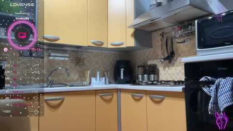 Media: elisabettina02 Stripchat 2023-09-12 21:12:00
