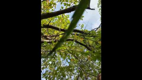 Media: stasywood Stripchat 2023-09-12 06:51:00