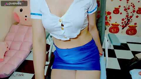 teena_stark @ stripchat on 20230912