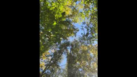 Media: ammyhot Stripchat 2023-09-14 06:12:00