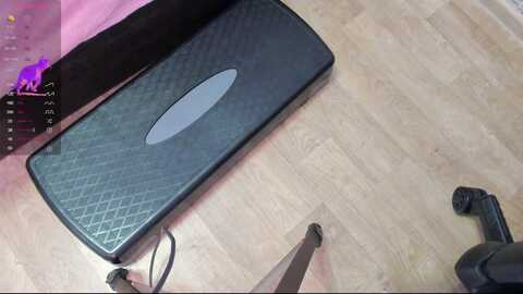 Media: al1ce_fox Stripchat 2023-09-15 03:07:00