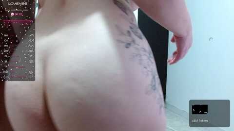 Media: celestedubois Stripchat 2023-09-18 02:26:00