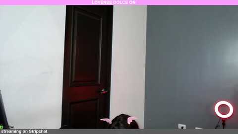 minarocket_ @ stripchat on 20230919