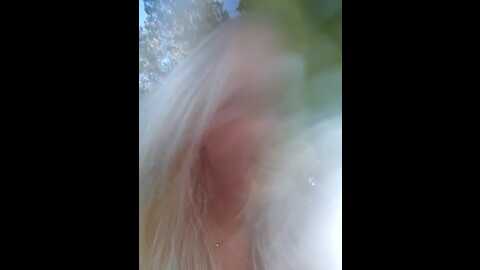 Media: cherryauroraa Stripchat 2023-09-21 08:48:00