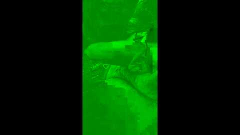 Media: chiaralewis Stripchat 2023-09-22 15:30:00