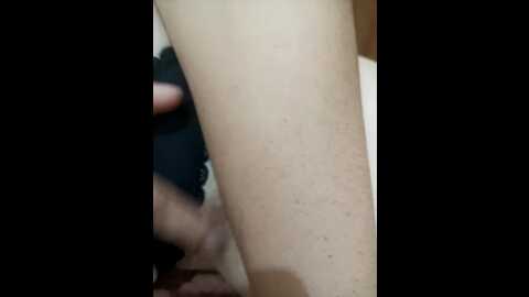 pecorella88
