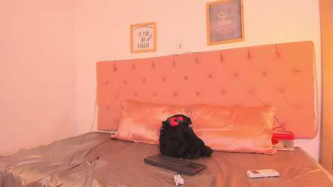 latiin_couple @ stripchat on 20230924