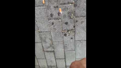 Media: darleenhot Stripchat 2023-09-26 16:31:00