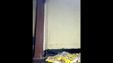 hotgal66 @ stripchat on 20230926