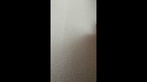 Media: rinamood Stripchat 2023-09-26 06:45:00